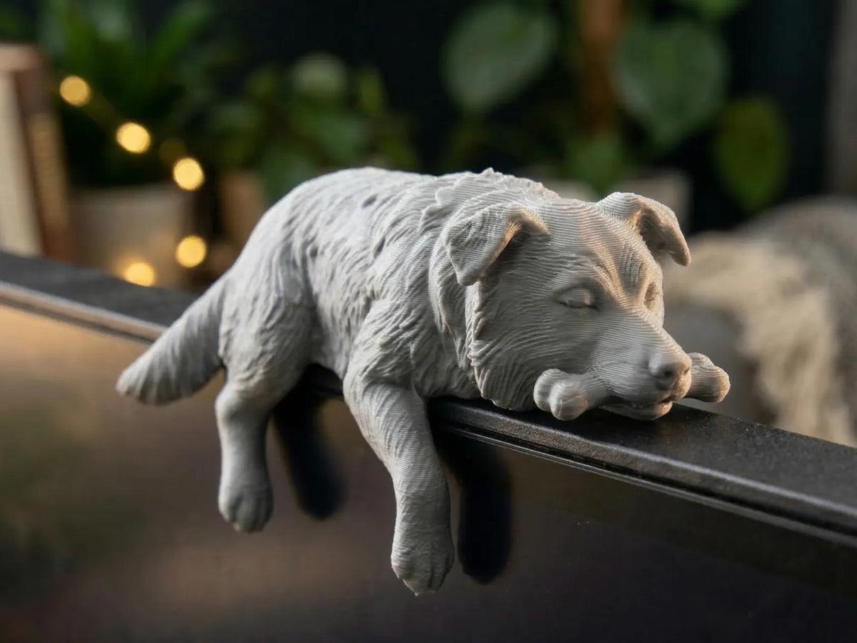 Compagnon de Moniteur Border Collie Confortable - avec os - Figurine Print