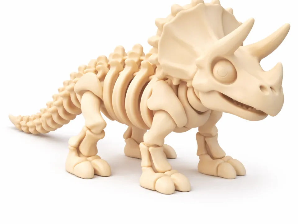 Mignon squelette de Tricératops - Maquette Print