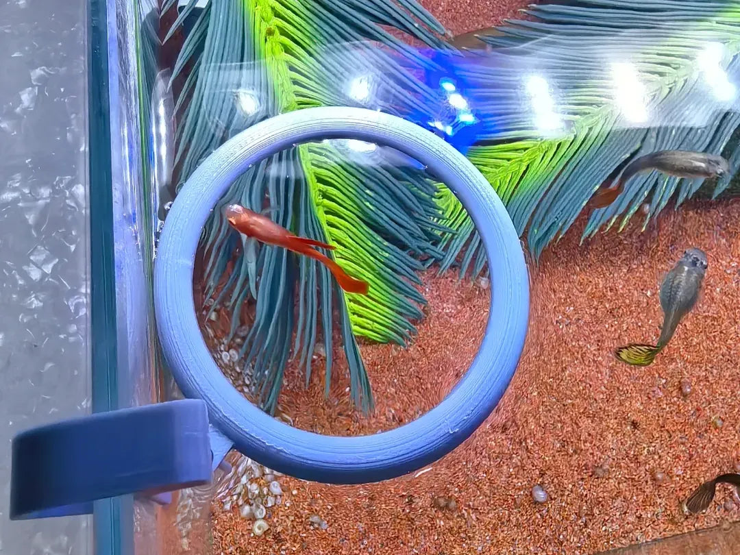 Automatic Fish Tank Feeder – modèle 3 - Pet Print