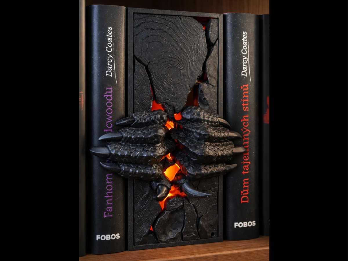 Niche de livre Griffe de Dragon - Maquette Print
