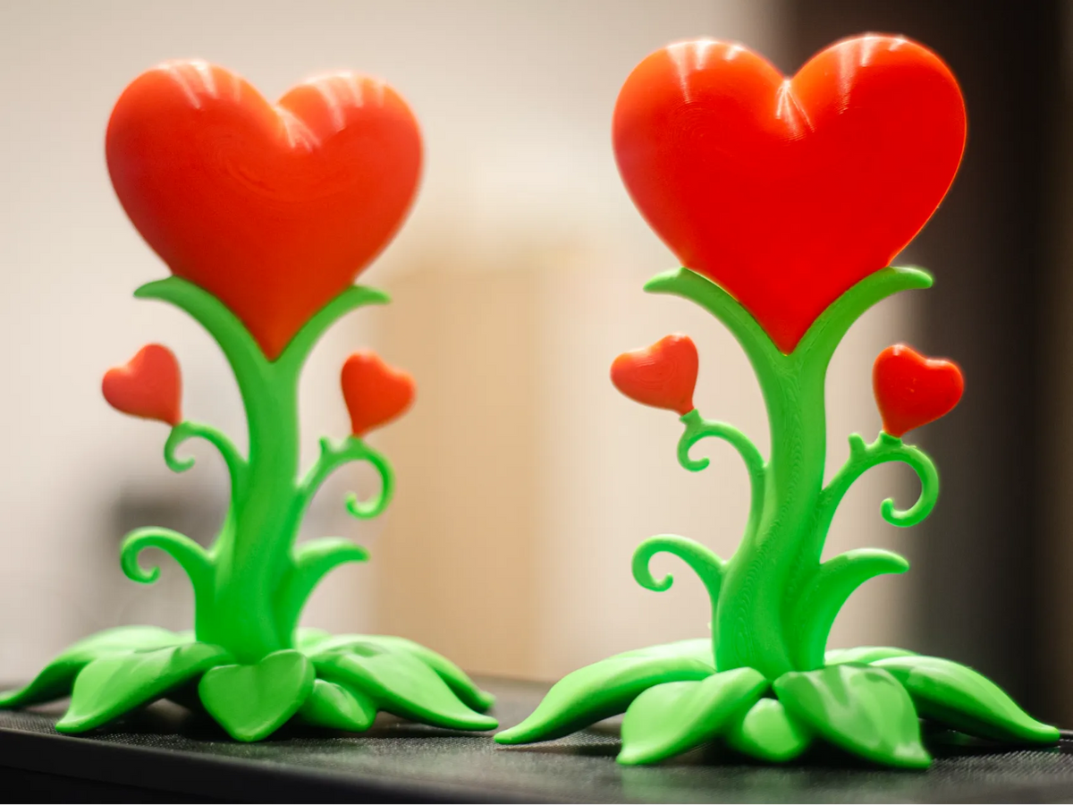 Fleur Cœur de la Saint-Valentin avec Compartiment Caché - Cadeau Print