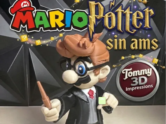 Mario Harry Potter - Geek Print