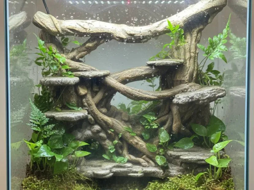 Fond de terrarium 3D (Sous-bois) - Pet Print