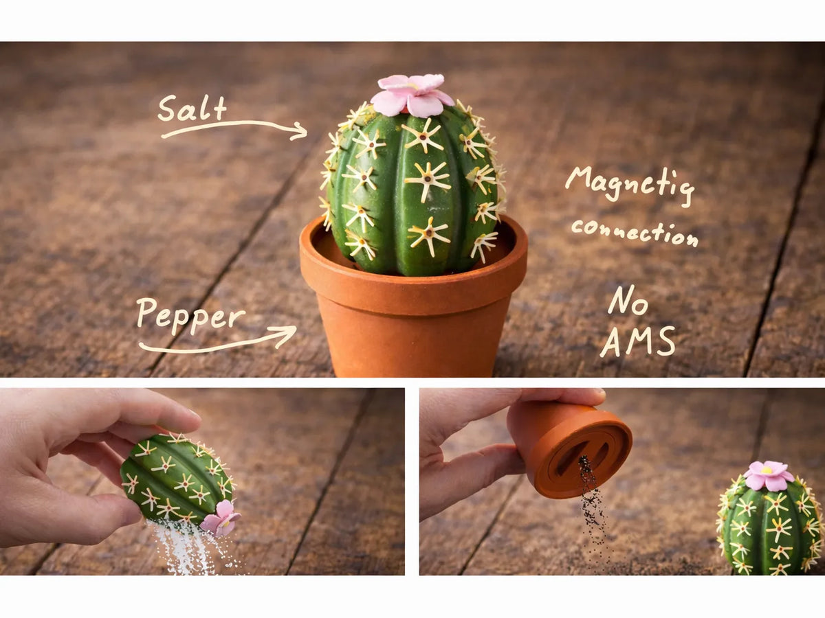 Cactus Sel et poivre (magnétique) - Cuisine Print