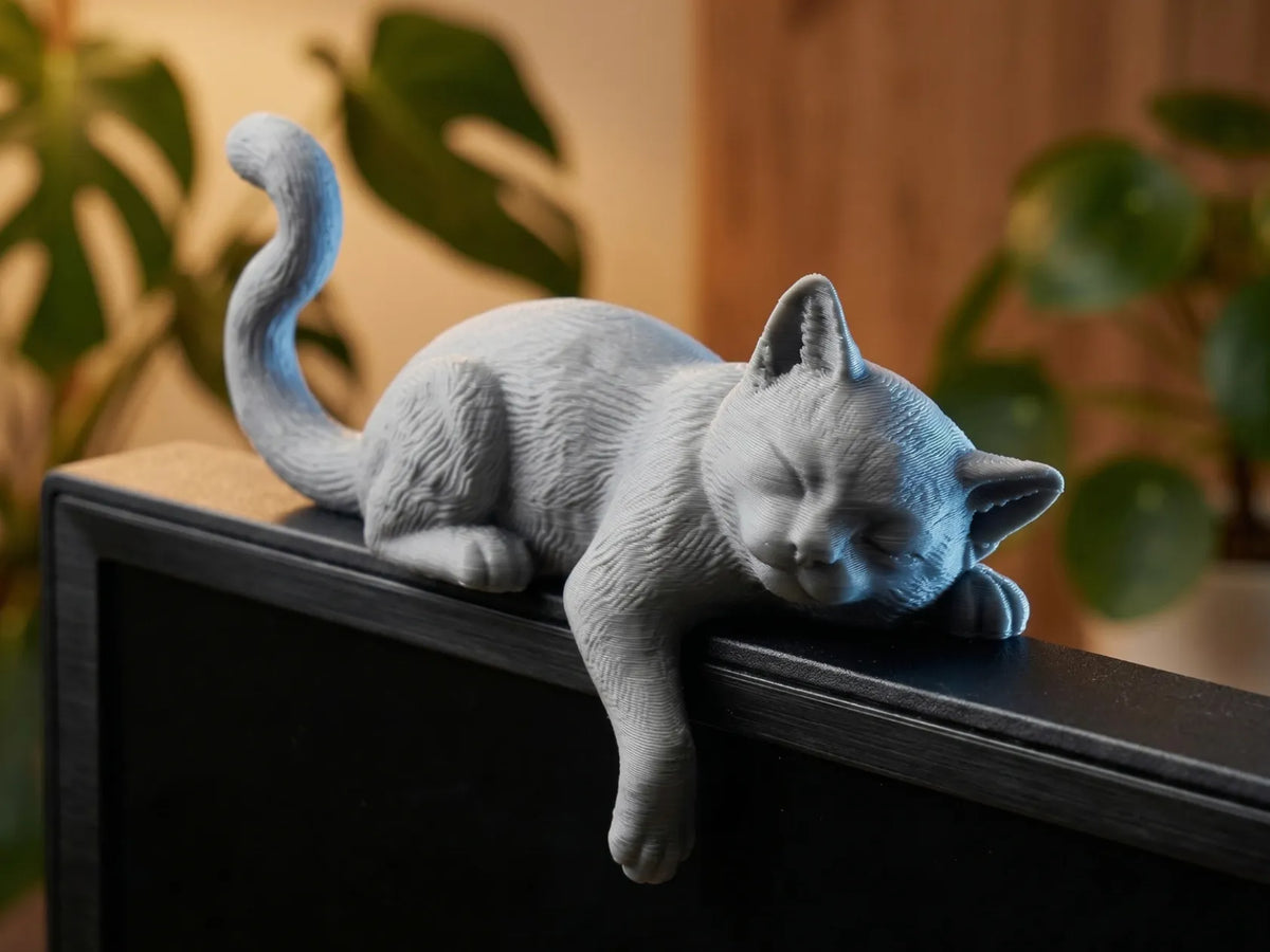 Compagnon parfait pour moniteur - Chat endormi douillet - Figurine Print