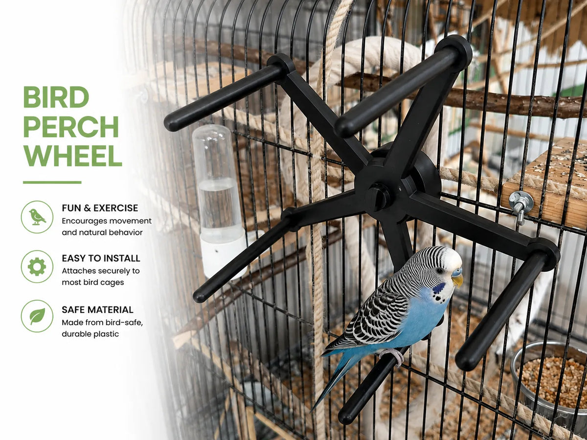 Roue de Perchoir pour Perruche – Jouet Rotatif pour Cage à Oiseaux - Pet Print