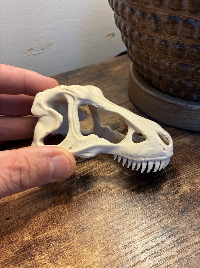 Fourche à Cheveux Crâne de T-Rex & Pince en Os et Cosplay - Bijoux Print (vue 2)