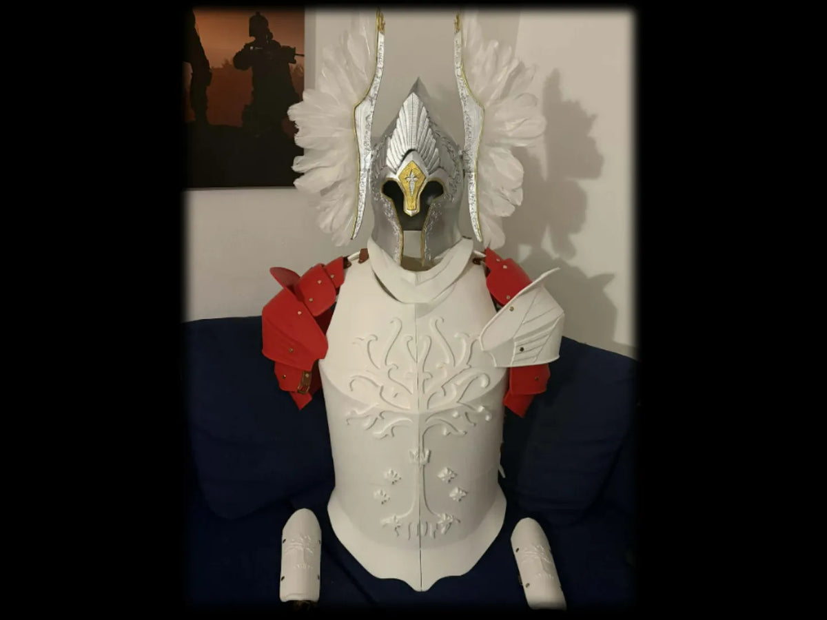 Garde de la Fontaine de Gondor - Lotr - Armure Complète - Cosplay Print