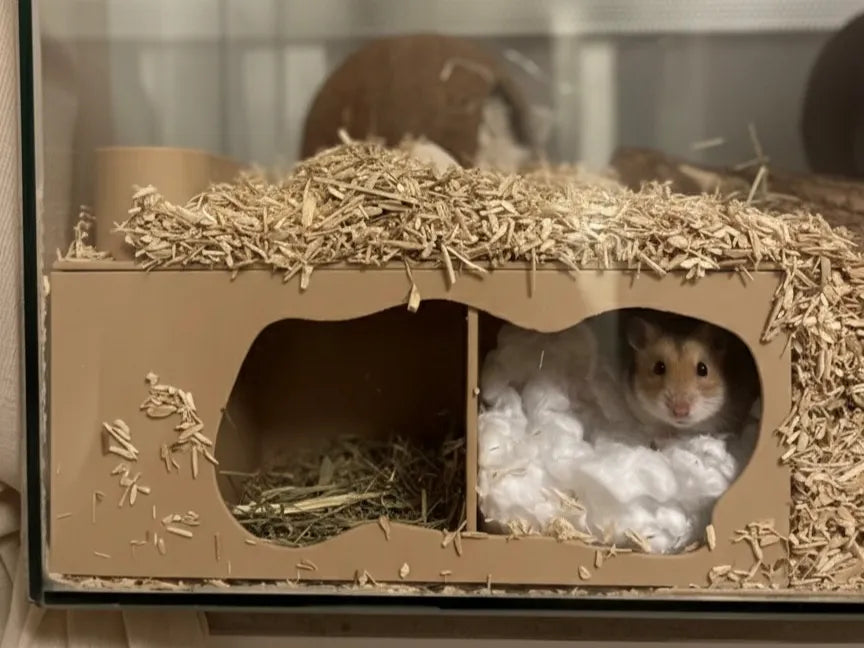 Grotte d'observation du Hamster - Pet Print