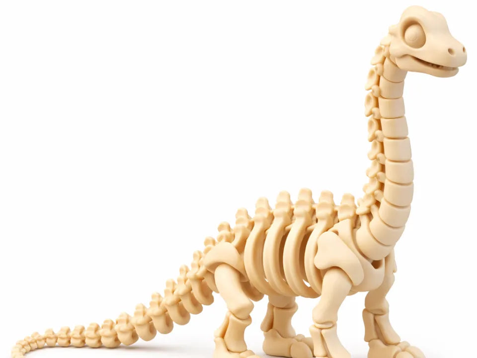 Mignon Squelette de Diplodocus - Maquette Print