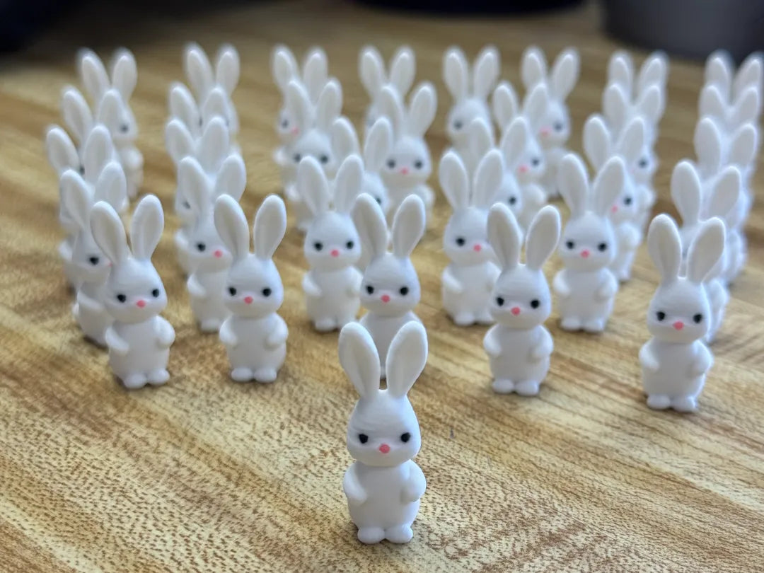 Cache-lapins - Fêtes Print