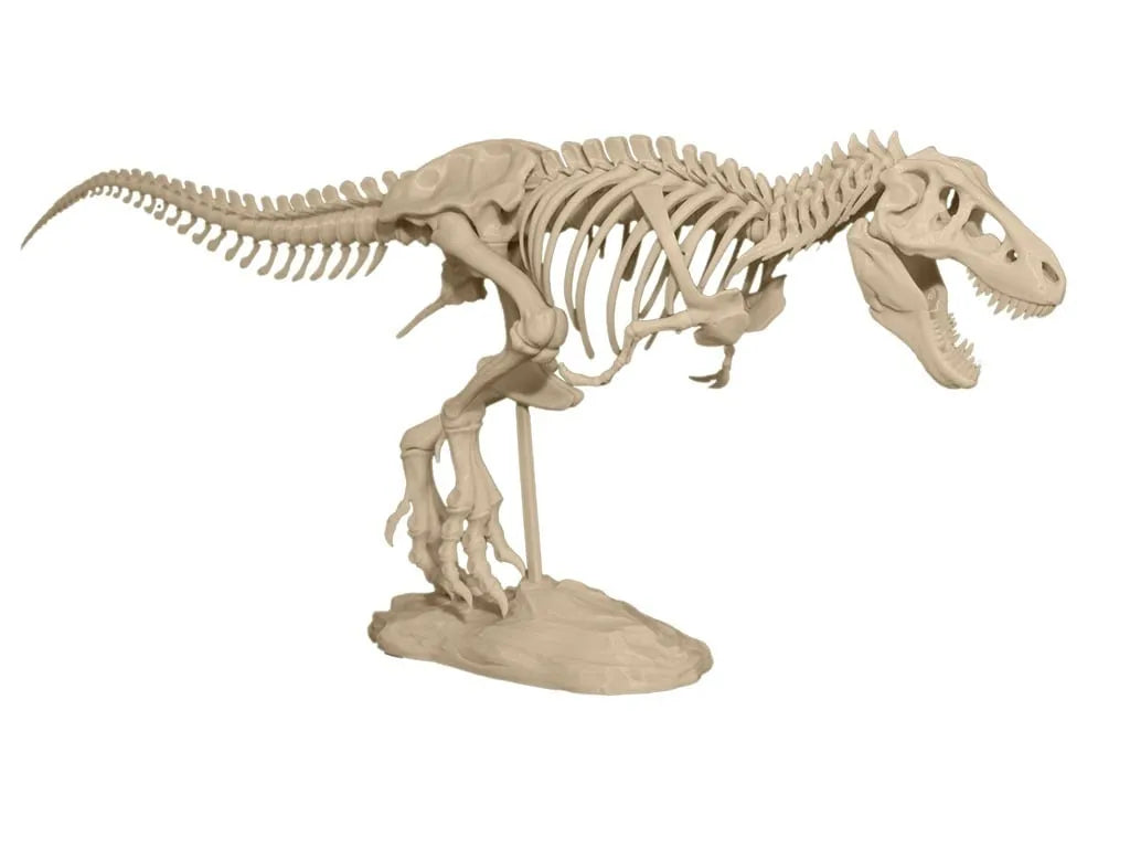 Squelette de T-Rex - Maquette Print