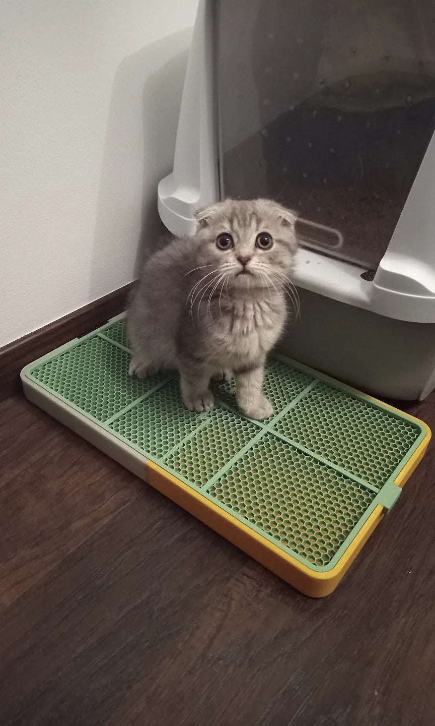 Cat litter mat with tray - Pet Print