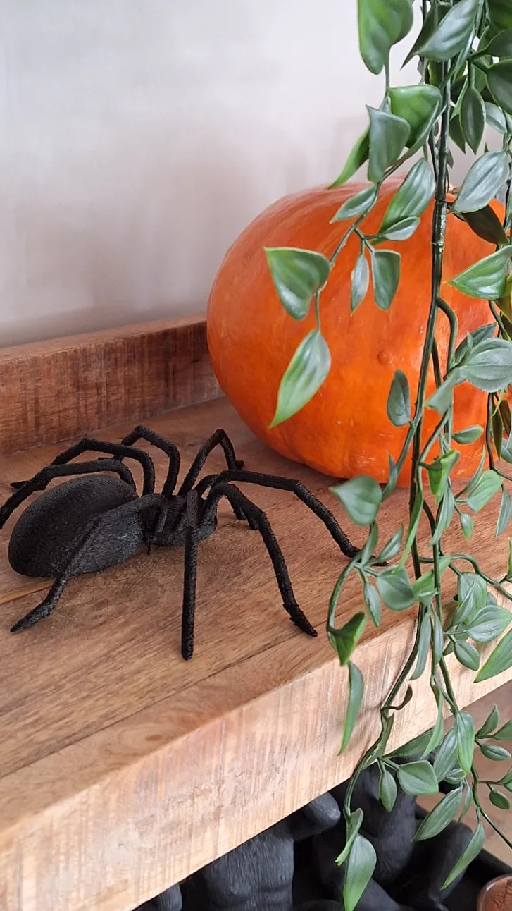 Modèle Araignée d'Halloween - Fêtes Print