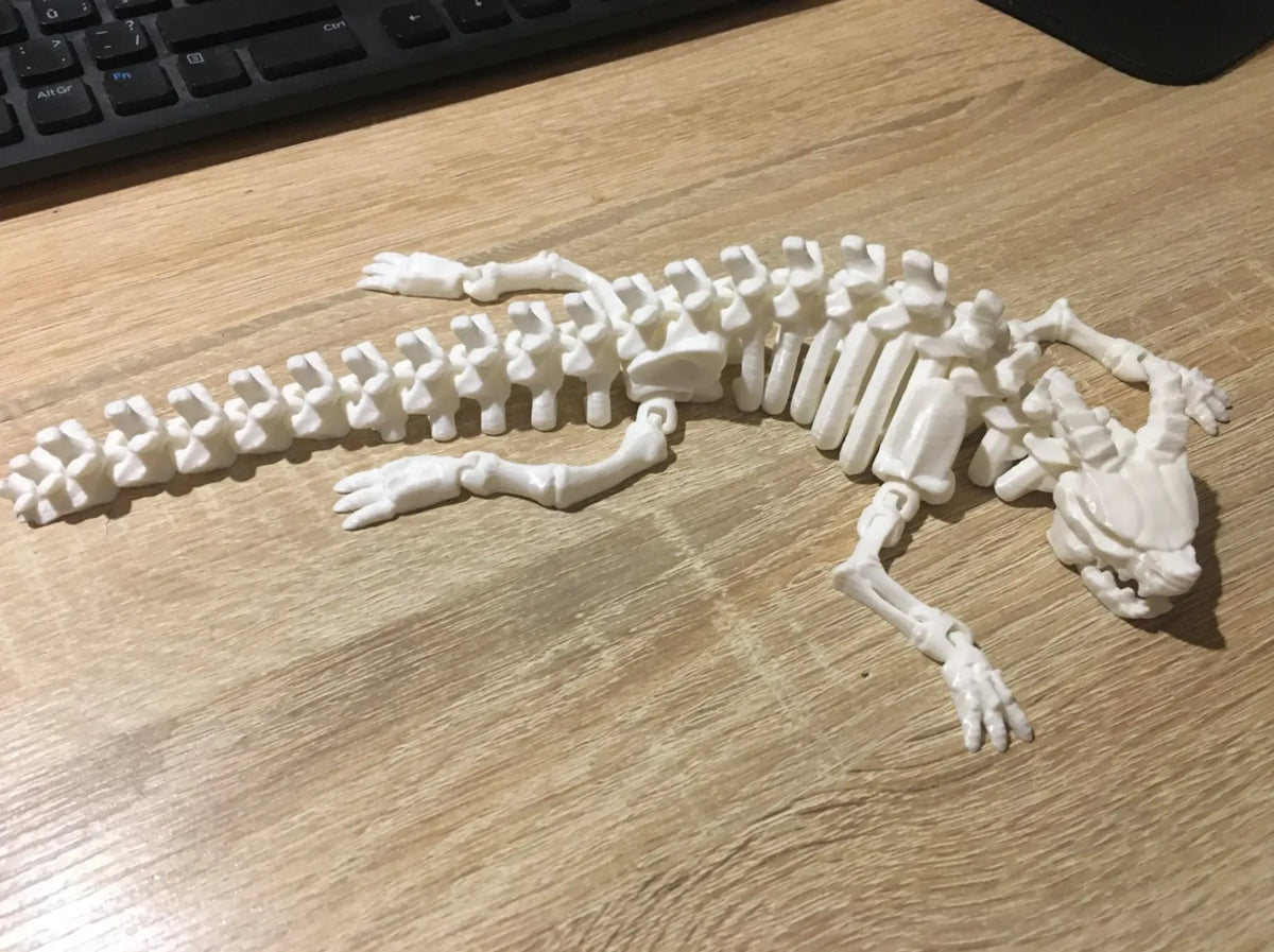 Dragon squelette articulé sans ailes - Cosplay Print