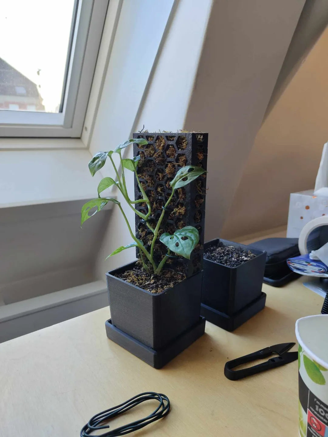 Tuteur/support en mousse pour pot de propagation - Outdoor Print