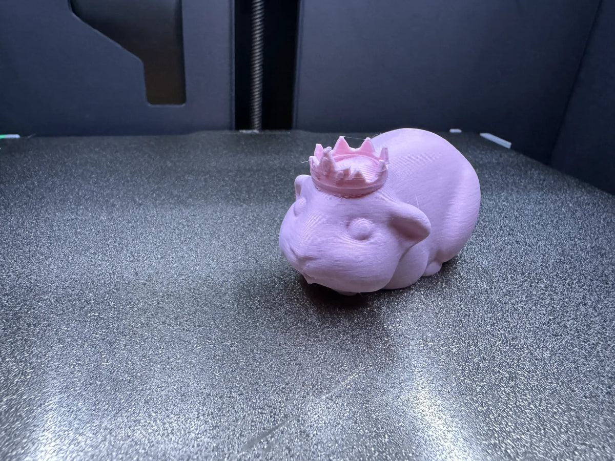 Cochon d'Inde (avec Couronne) - Pet Print