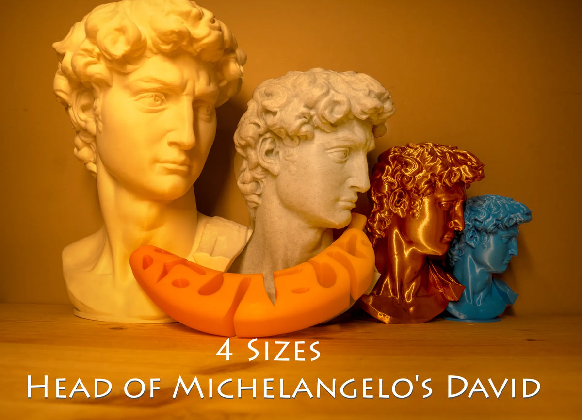 Tête du David de Michel-Ange - Art Print