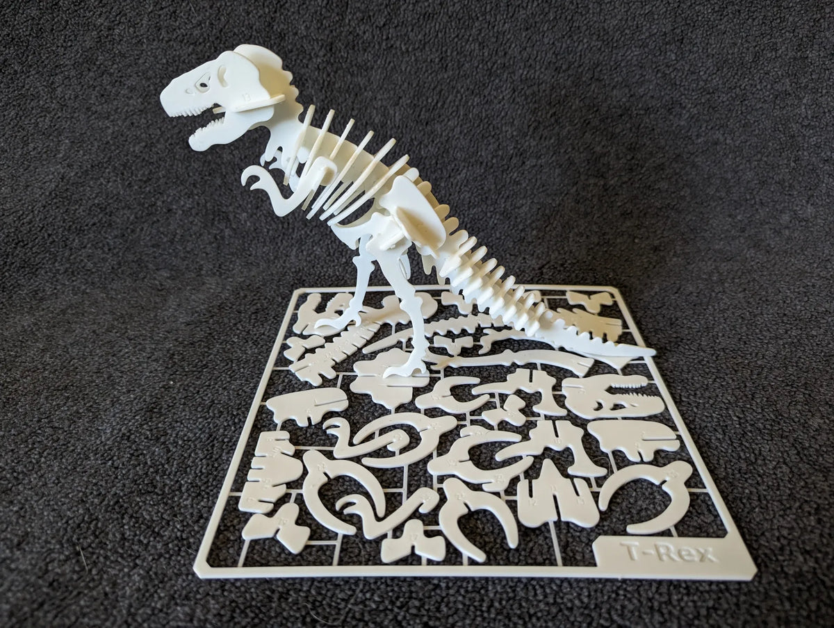 Kit de squelette de T-Rex - Maquette Print