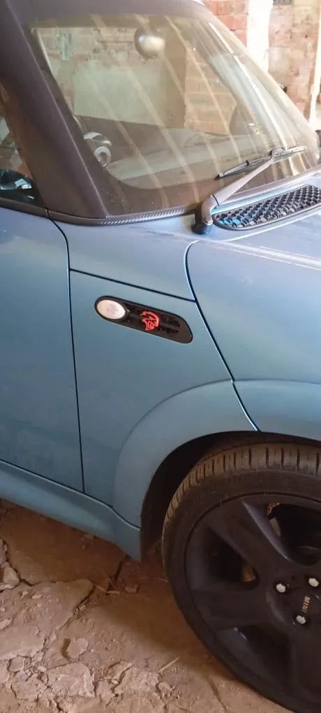 Protections laterales mini cooper s r50/r51/r52/r53 - Auto Print