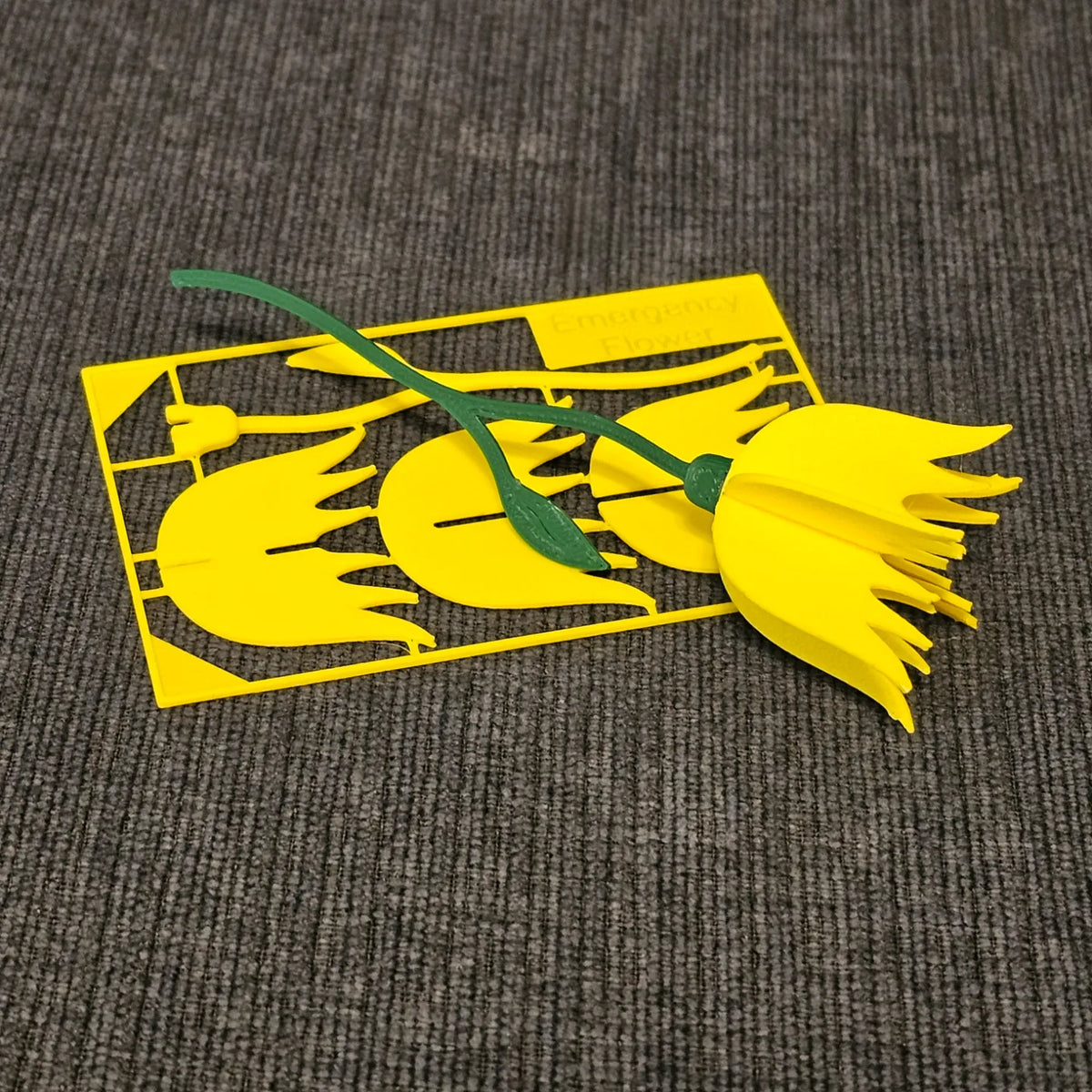 Carte de kit de fleurs d'urgence (format carte de crédit) - Outdoor Print