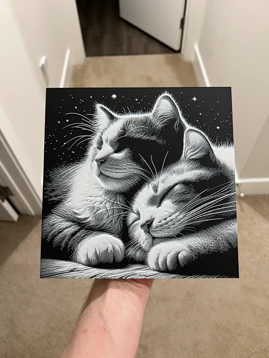 Chats sous la lumière des étoiles Hueforge - Art Print
