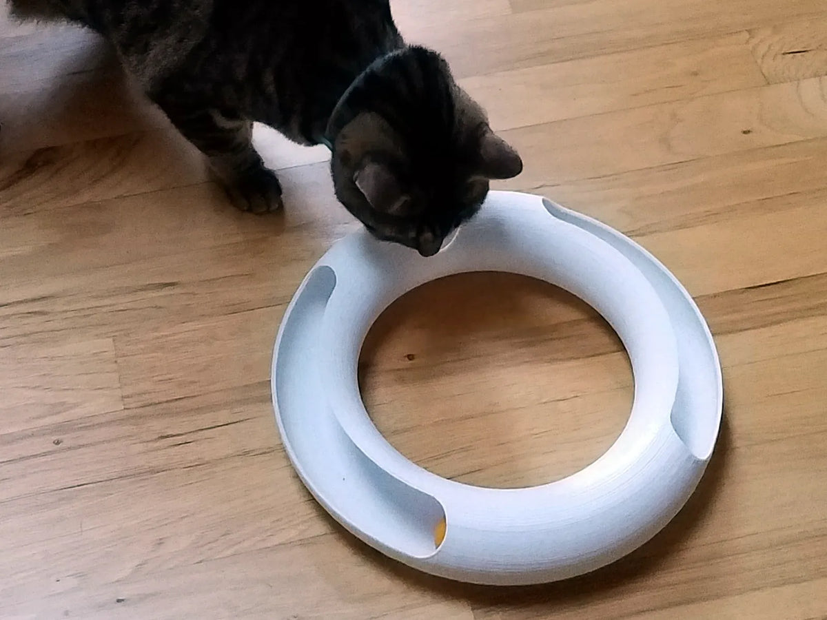 Jouet de piste pour balles de ping-pong - Pet Print