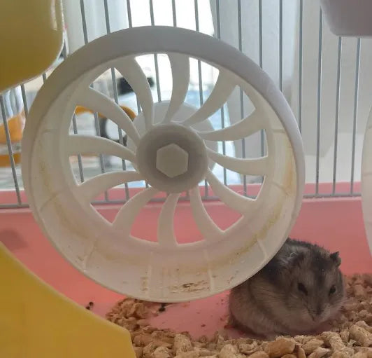 Roue de hamster – modèle 3 - Pet Print