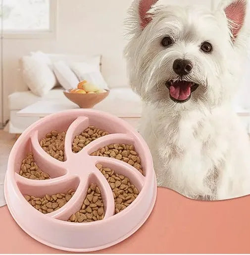 Gamelle Lente pour Animaux de Compagnie. Chien Chat - Pet Print