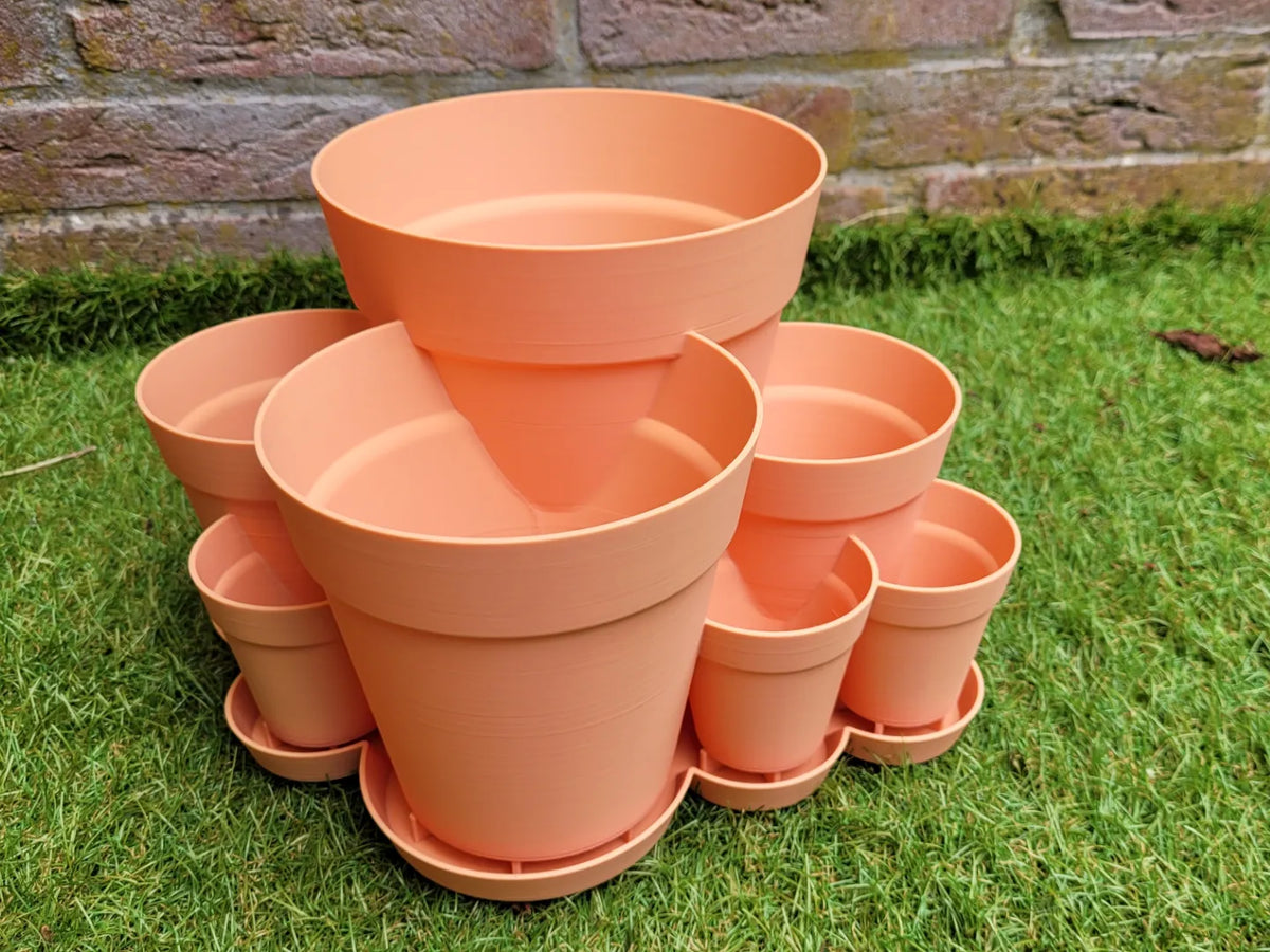 Multi-pot (7 pots fusionnés) - Jardin Print