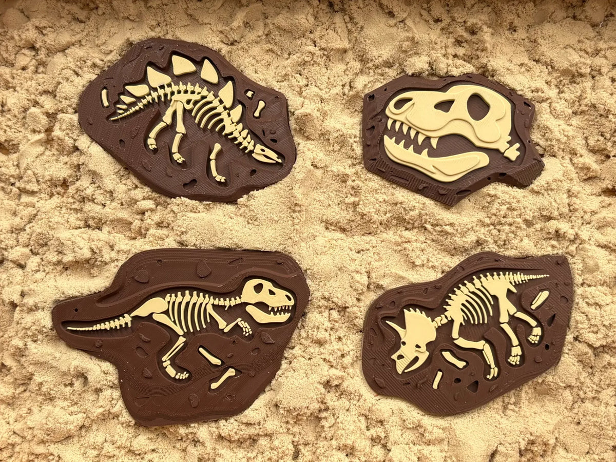 Fossile de T-rex pour jeu sensoriel - Maquette Print