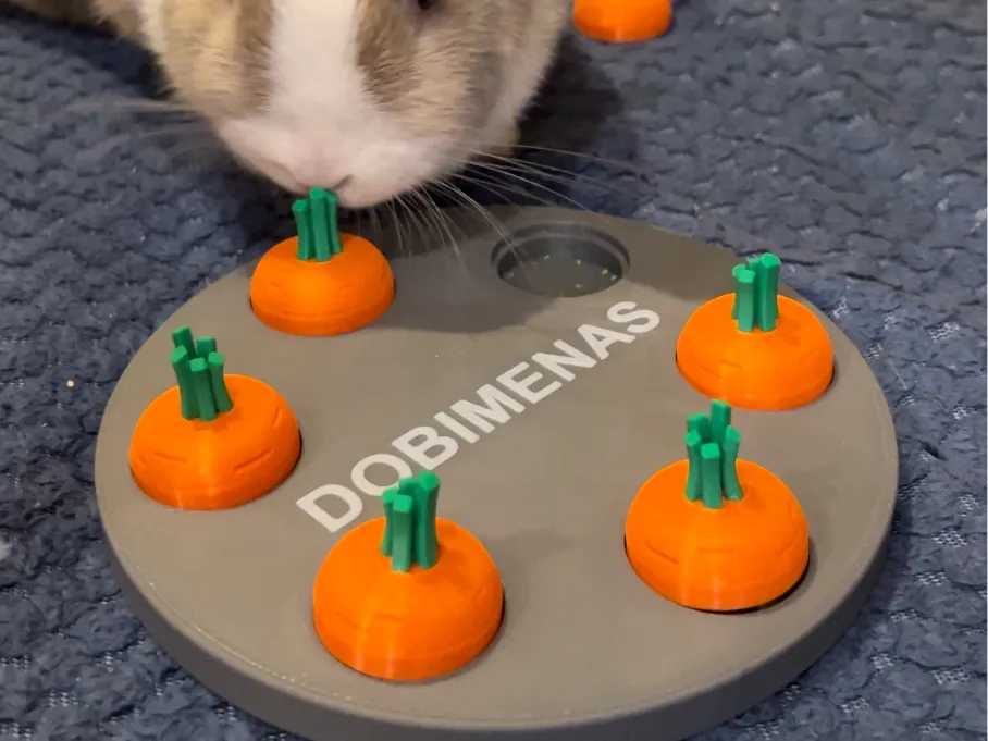 Jouet interactif pour animaux de compagnie (lapin, cobaye, etc.) - Pet Print