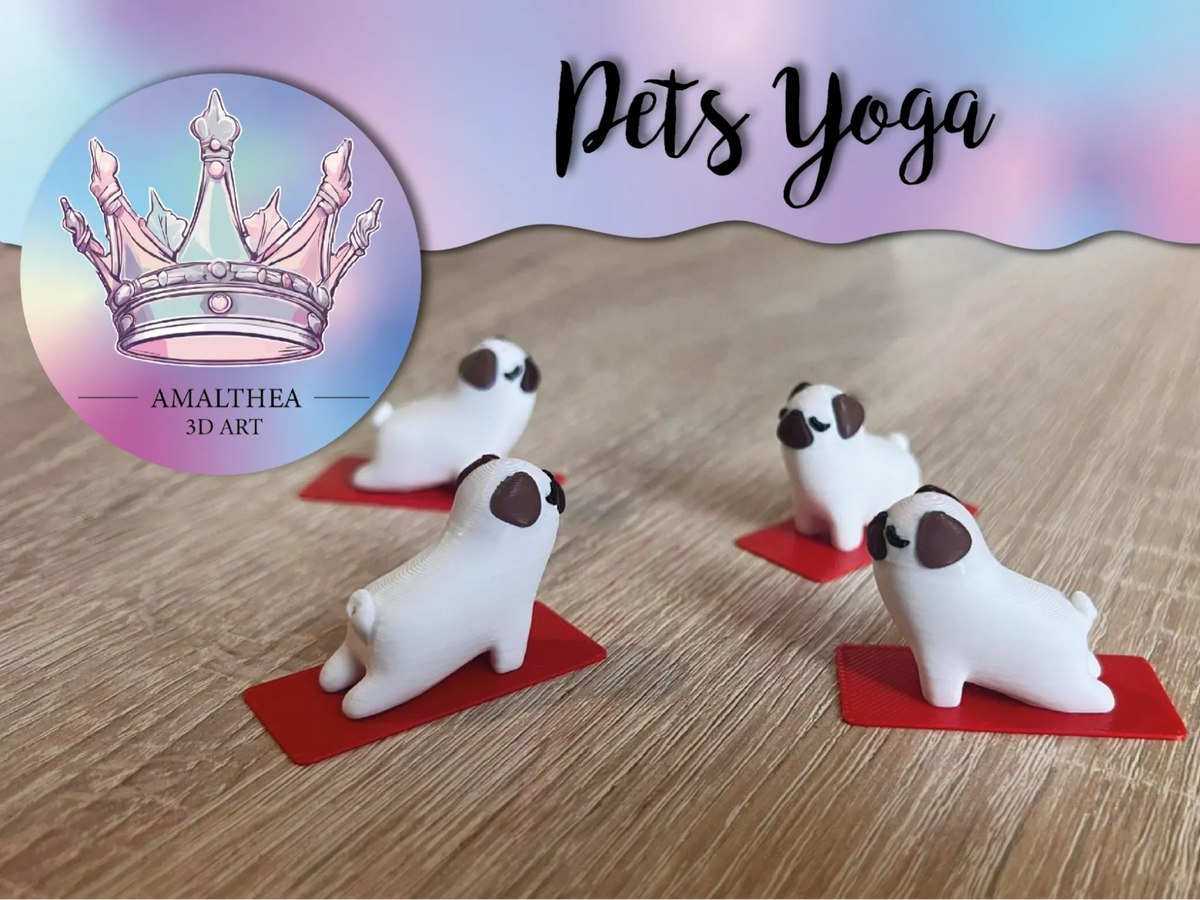 Yoga pour animaux de compagnie - Sport Print