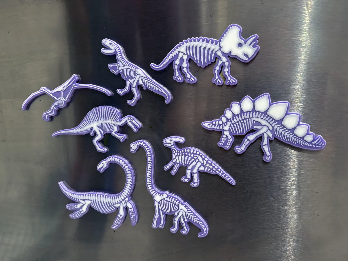 Aimants Os de Dinosaures - Maquette Print