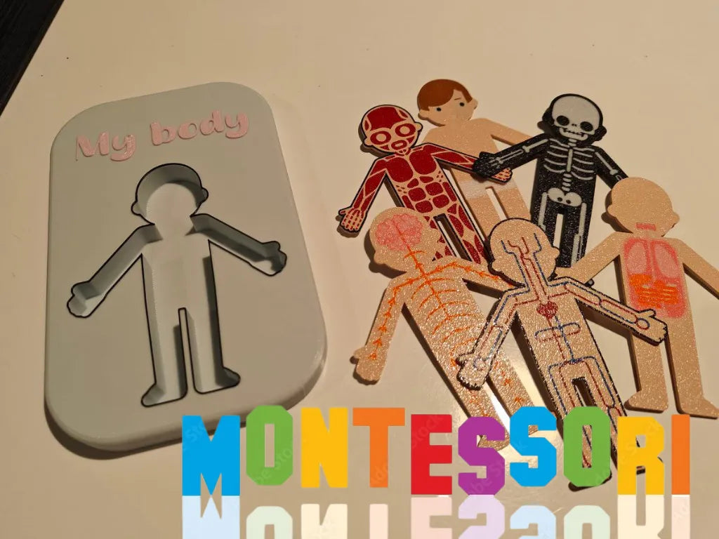 Puzzle du corps humain en couches Montessori - Bébé Print
