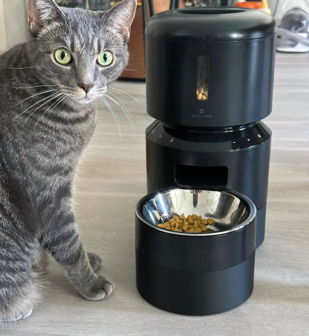 PetLibro Distributeur Automatique de Nourriture pour Chats - 2,5" de haut - Pet Print