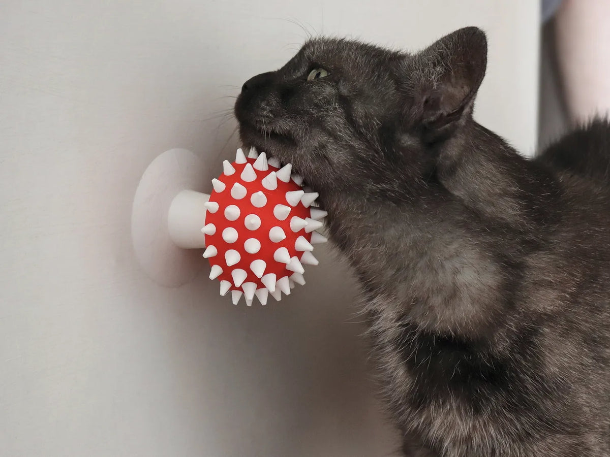Grattoir et Groomer pour Chat en Forme de Champignon à Pointes - Pet Print