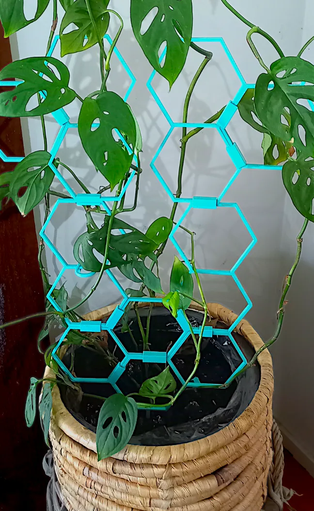 Tuteur d'escalade pour plantes - Outdoor Print