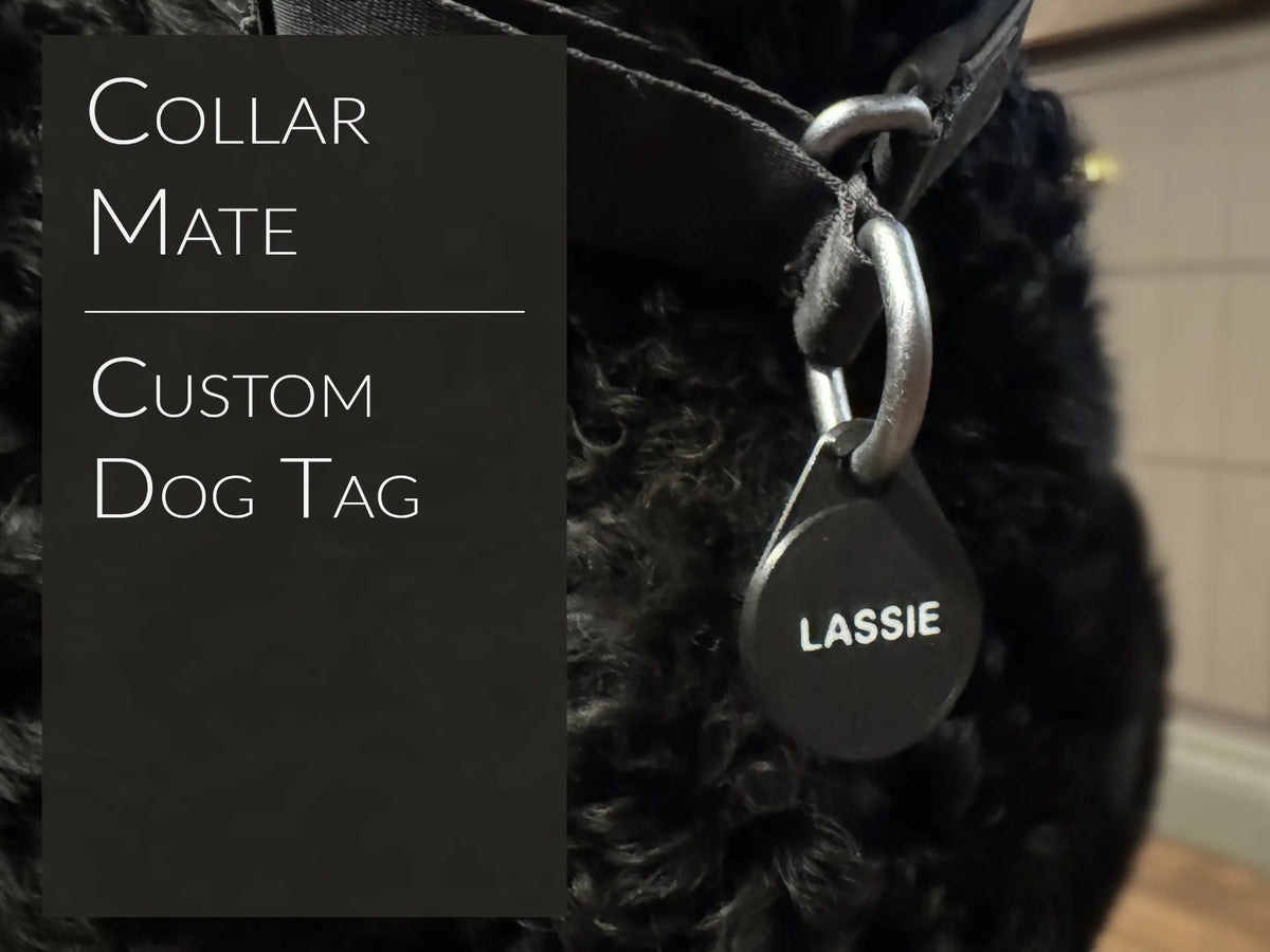 CollarMate - Plaque personnalisée pour chien - Pet Print