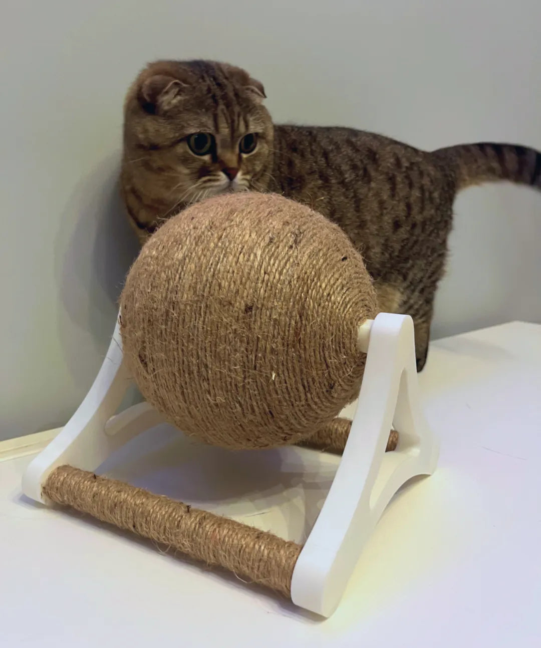 Jouet interactif pour chat à faire tourner et à gratter - Pet Print