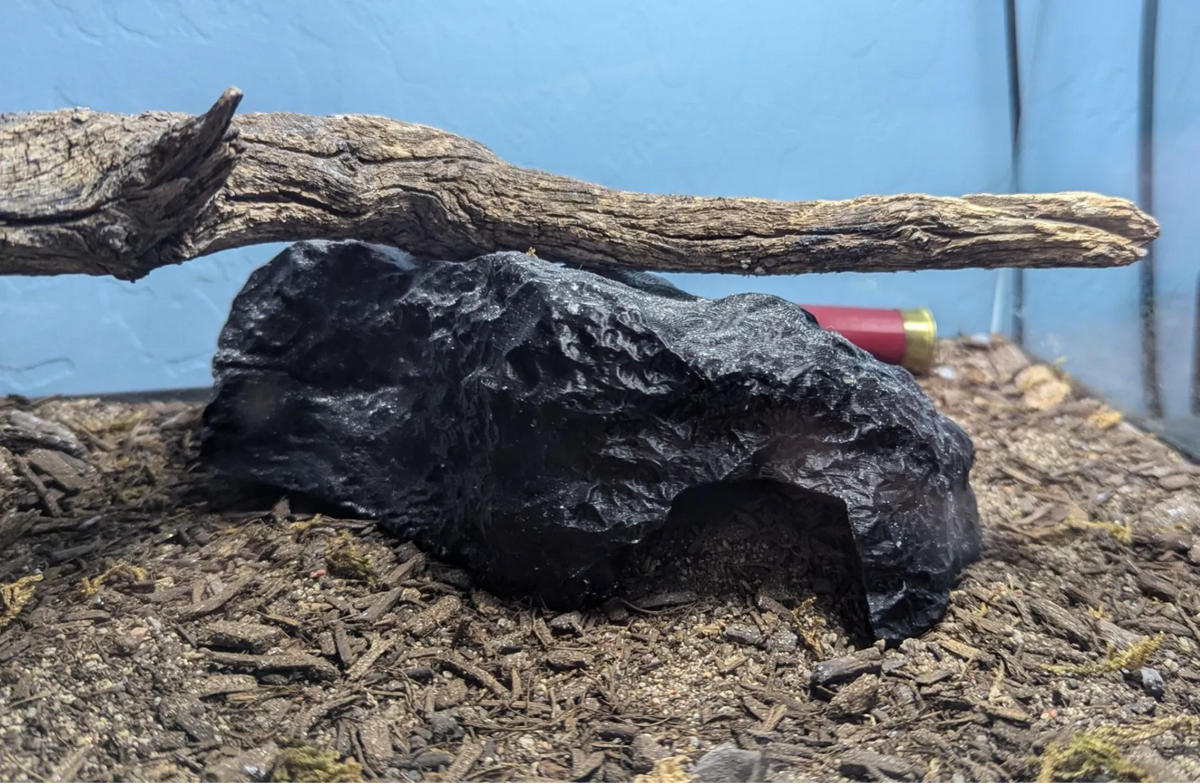 Cachette pour reptile, grotte rocheuse - Pet Print