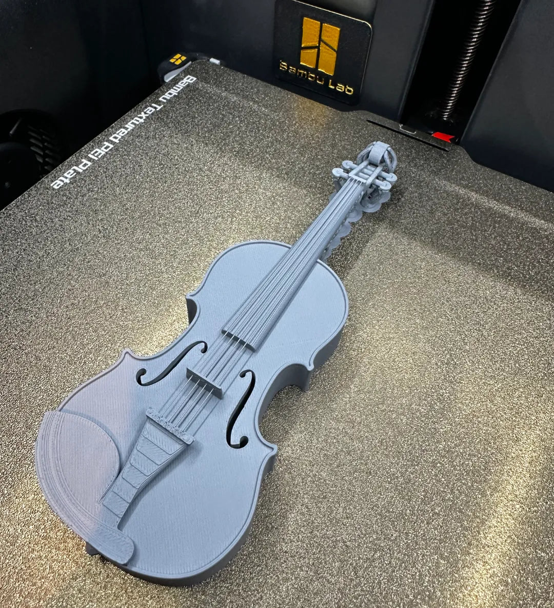 Violon avec cordes - Music Print