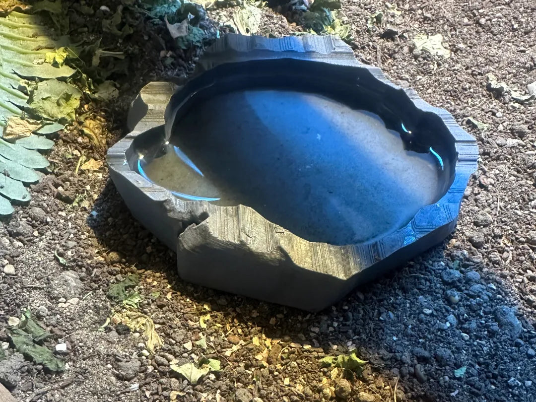 Bol à eau ou à nourriture pour reptile lézard - Pet Print