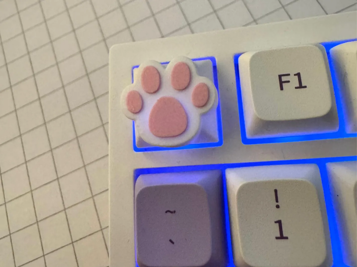 Touche de clavier en forme de patte de chat - Pet Print