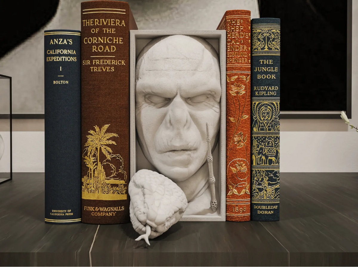 Coin de lecture et support mural Voldemort - Maquette Print