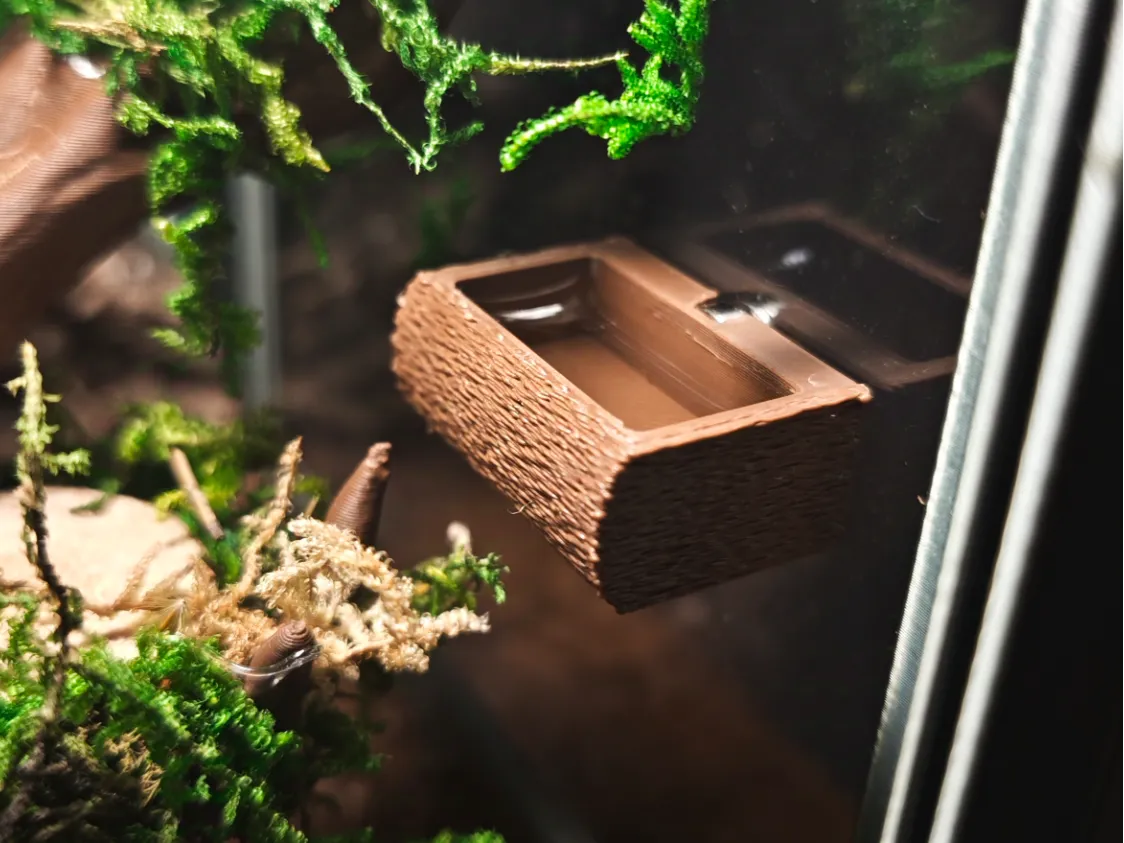 Terrarium pour araignées sauteuses Springspinnen - Pet Print