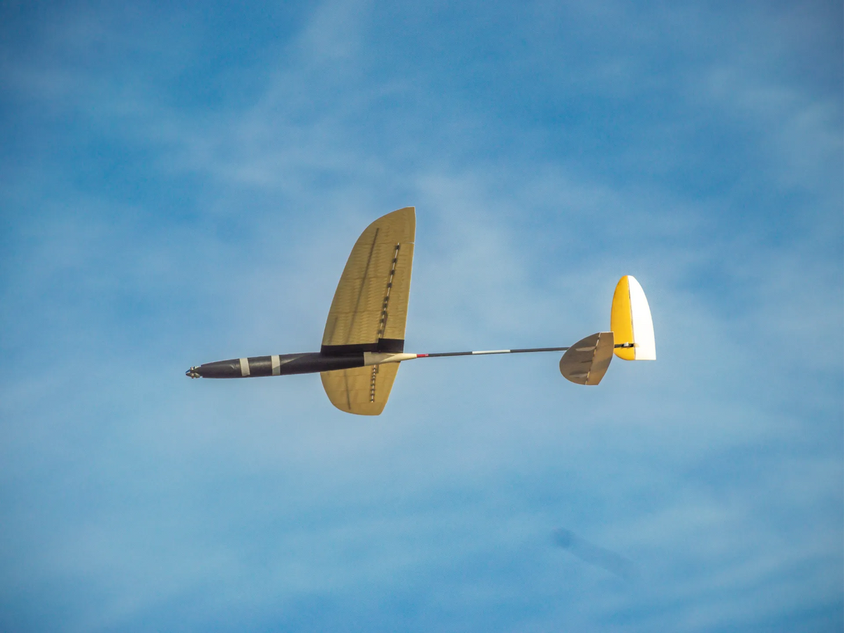 Planeur RC Haute Performance, F5k, Style e-DLG, 1.5m - Maquette Print