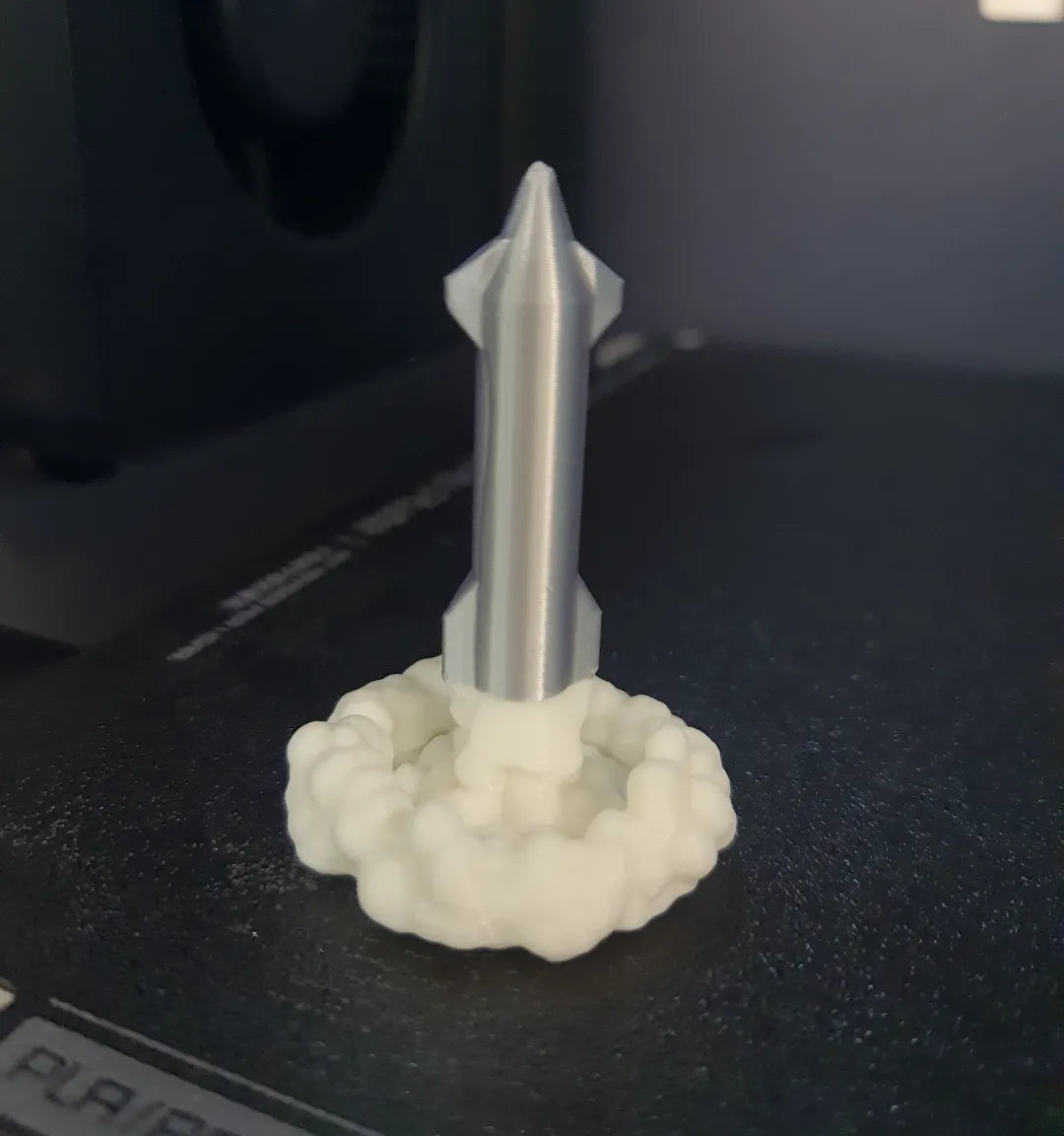 Vaisseau spatial Starship de SpaceX - Maquette Print