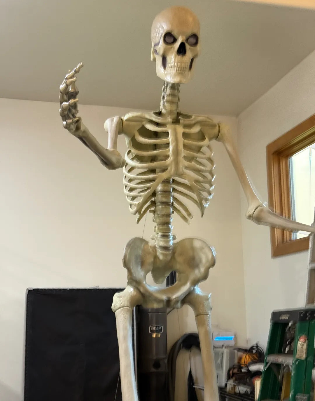 Remplacement du coude du squelette d'Halloween de 12 pieds - Science Print