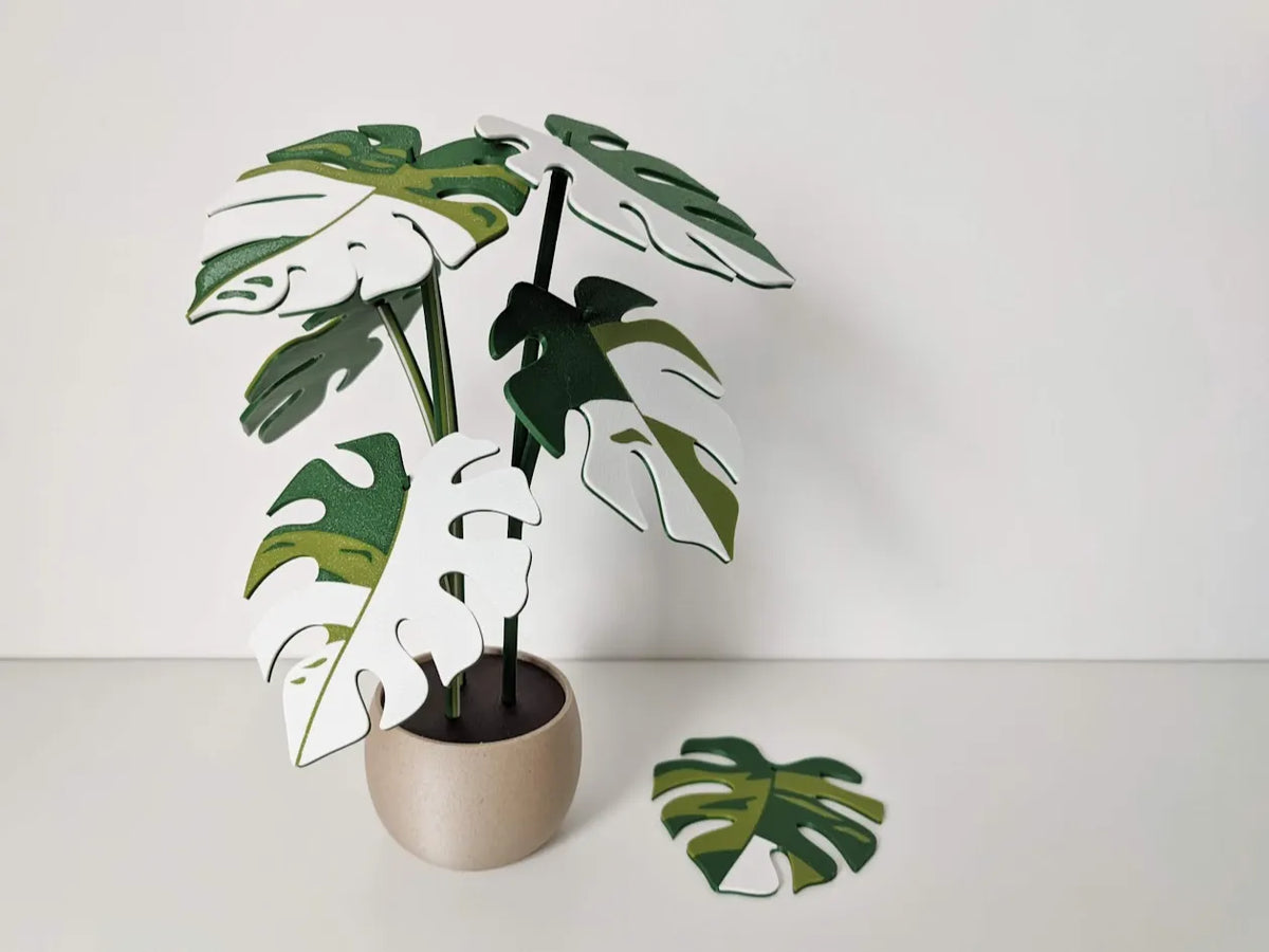 Plante de Monstera variegata avec 6 sous-verres en forme de feuille - Cuisine Print